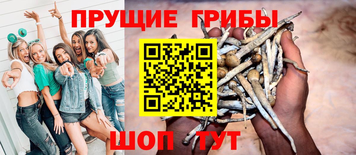 Ревда  Псилоцибиновые грибы ЛСД  Вход с VPN  Галлюциногенные грибы Psilocybe 