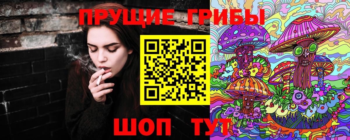 Псилоцибиновые грибы Cubensis Ревда